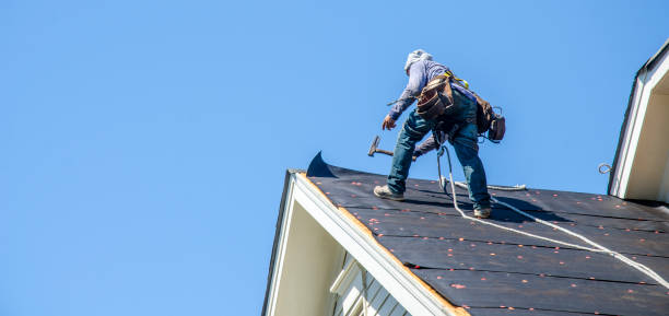 Best Roof Gutter Cleaning  in Honsville, GA